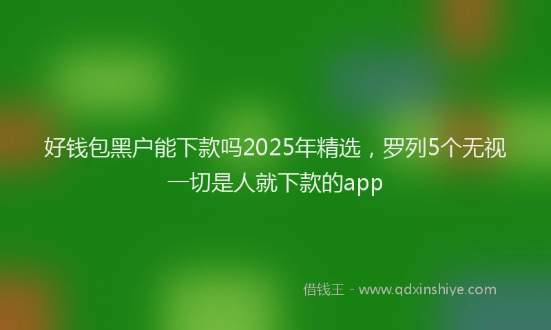 好钱包黑户能下款吗2025年精选，罗列5个无视一切是人就下款的app