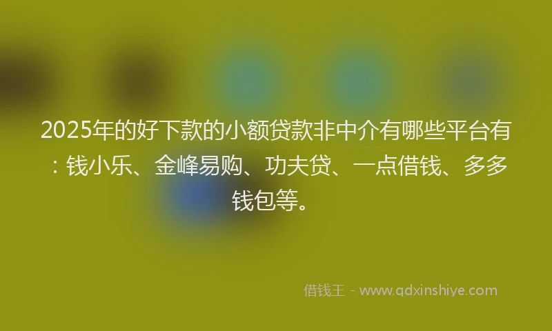 2025年的好下款的小额贷款非中介有哪些平台有：钱小乐、金峰易购、功夫贷、一点借钱、多多钱包等。
