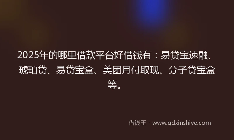 2025年的哪里借款平台好借钱有：易贷宝速融、琥珀贷、易贷宝盒、美团月付取现、分子贷宝盒等。