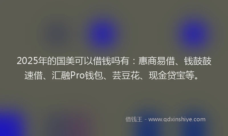 2025年的国美可以借钱吗有：惠商易借、钱鼓鼓速借、汇融Pro钱包、芸豆花、现金贷宝等。