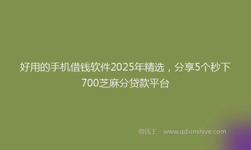 好用的手机借钱软件2025年精选，分享5个秒下700芝麻分贷款平台