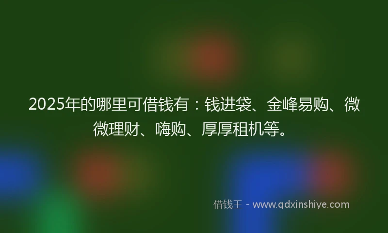 2025年的哪里可借钱有：钱进袋、金峰易购、微微理财、嗨购、厚厚租机等。