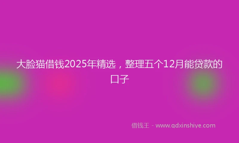 大脸猫借钱2025年精选，整理五个12月能贷款的口子