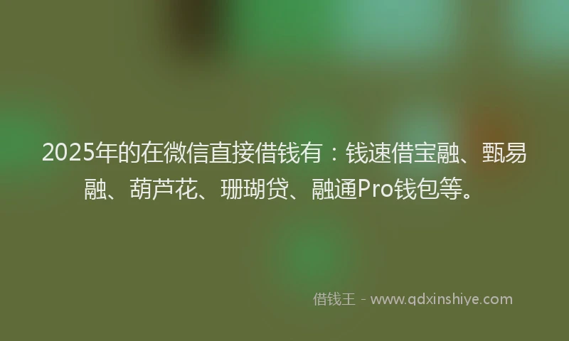 2025年的在微信直接借钱有：钱速借宝融、甄易融、葫芦花、珊瑚贷、融通Pro钱包等。