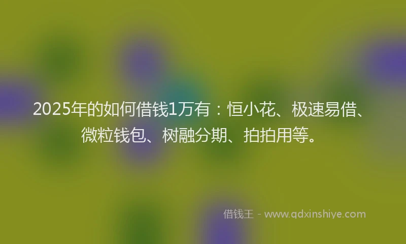 2025年的如何借钱1万有：恒小花、极速易借、微粒钱包、树融分期、拍拍用等。