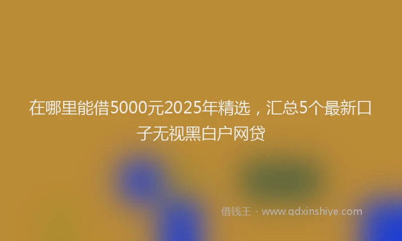 在哪里能借5000元2025年精选，汇总5个最新口子无视黑白户网贷
