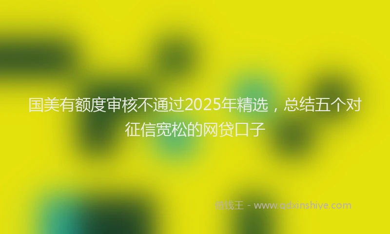 国美有额度审核不通过2025年精选，总结五个对征信宽松的网贷口子