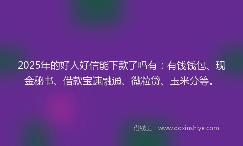 2025年的好人好信能下款了吗有：有钱钱包、现金秘书、借款宝速融通、微粒贷、玉米分等。