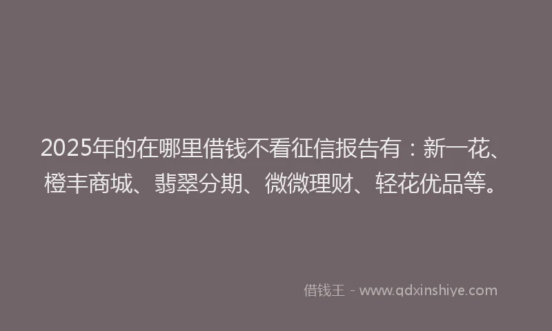 2025年的在哪里借钱不看征信报告有：新一花、橙丰商城、翡翠分期、微微理财、轻花优品等。