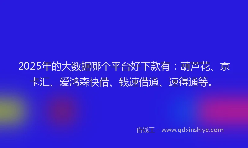 2025年的大数据哪个平台好下款有：葫芦花、京卡汇、爱鸿森快借、钱速借通、速得通等。