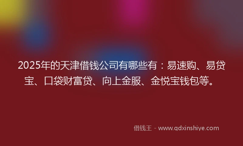2025年的天津借钱公司有哪些有：易速购、易贷宝、口袋财富贷、向上金服、金悦宝钱包等。