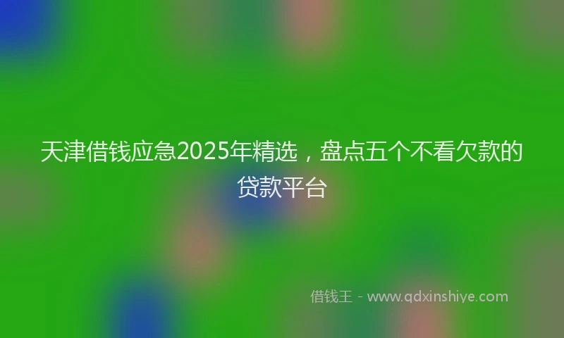 天津借钱应急2025年精选，盘点五个不看欠款的贷款平台