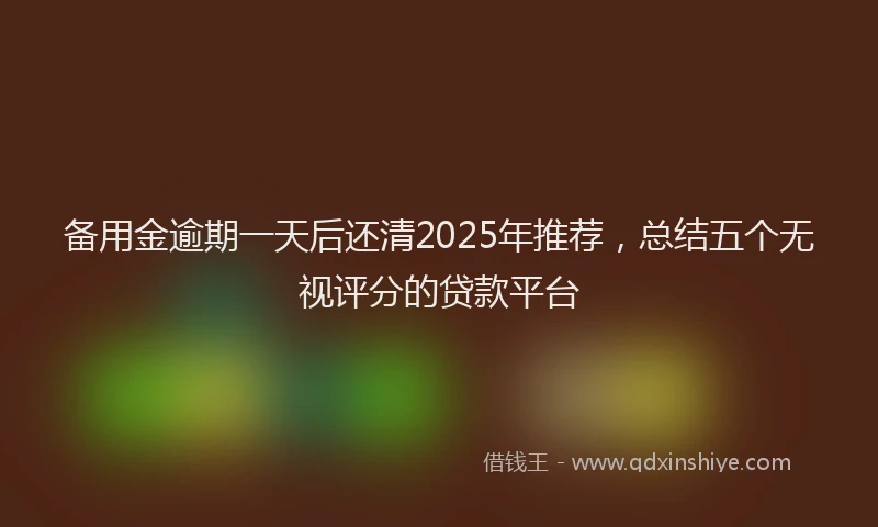 备用金逾期一天后还清2025年推荐，总结五个无视评分的贷款平台