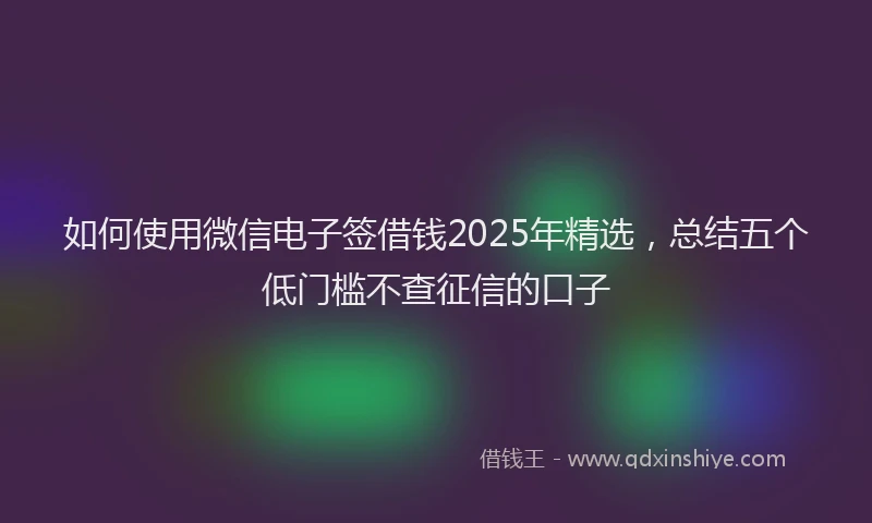 如何使用微信电子签借钱2025年精选，总结五个低门槛不查征信的口子