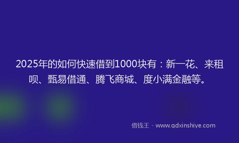 2025年的如何快速借到1000块有：新一花、来租呗、甄易借通、腾飞商城、度小满金融等。