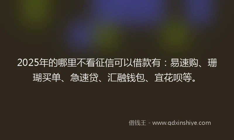2025年的哪里不看征信可以借款有：易速购、珊瑚买单、急速贷、汇融钱包、宜花呗等。