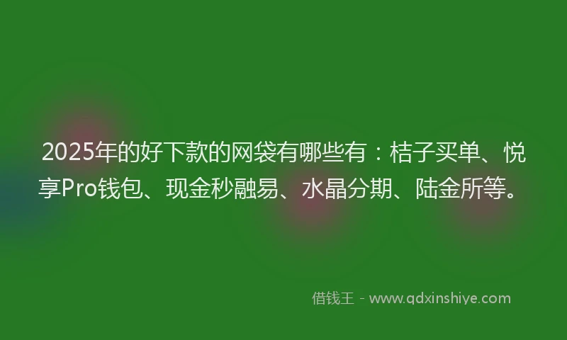 2025年的好下款的网袋有哪些有：桔子买单、悦享Pro钱包、现金秒融易、水晶分期、陆金所等。