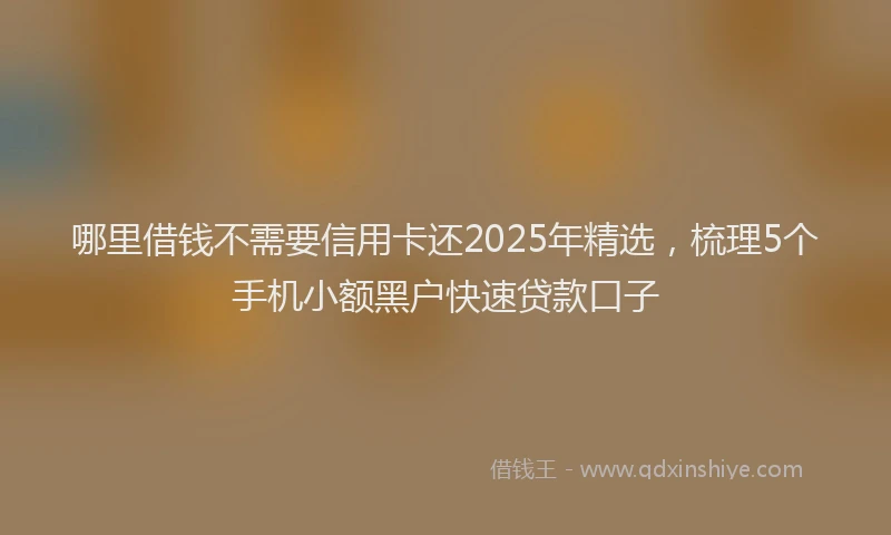 哪里借钱不需要信用卡还2025年精选，梳理5个手机小额黑户快速贷款口子