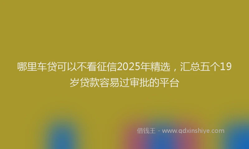 哪里车贷可以不看征信2025年精选，汇总五个19岁贷款容易过审批的平台
