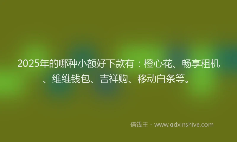 2025年的哪种小额好下款有：橙心花、畅享租机、维维钱包、吉祥购、移动白条等。