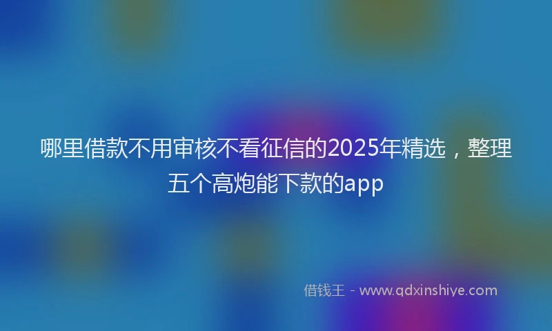哪里借款不用审核不看征信的2025年精选，整理五个高炮能下款的app