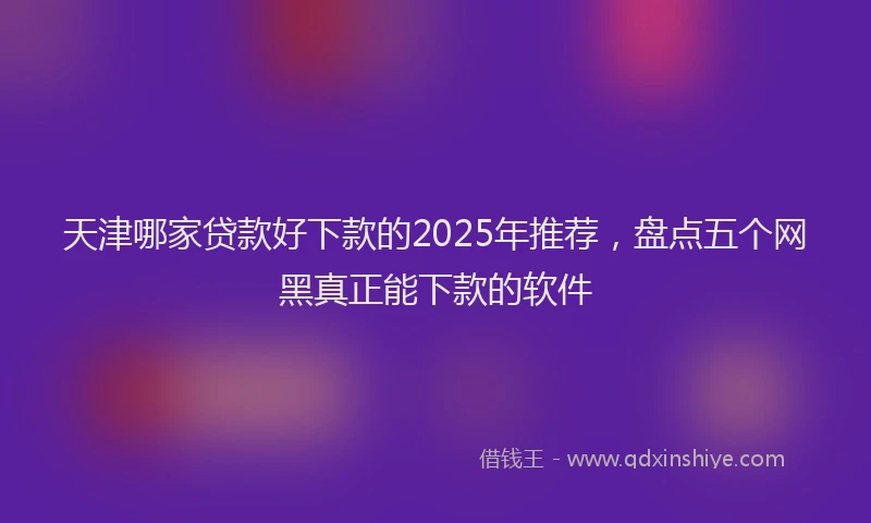 天津哪家贷款好下款的2025年推荐，盘点五个网黑真正能下款的软件