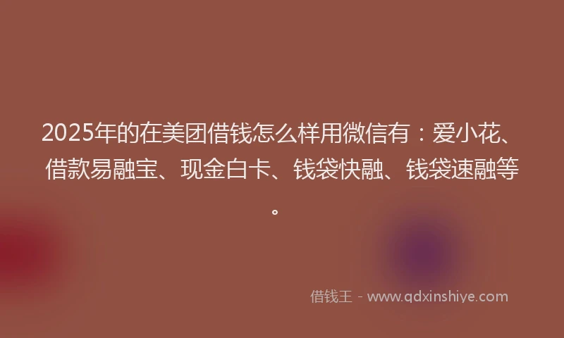 2025年的在美团借钱怎么样用微信有：爱小花、借款易融宝、现金白卡、钱袋快融、钱袋速融等。