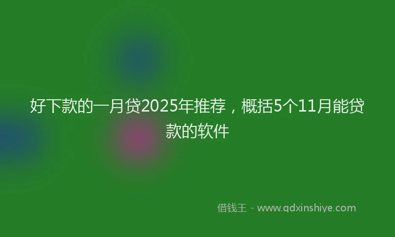 好下款的一月贷2025年推荐，概括5个11月能贷款的软件
