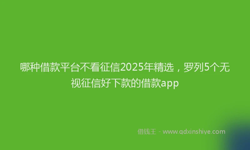 哪种借款平台不看征信2025年精选，罗列5个无视征信好下款的借款app