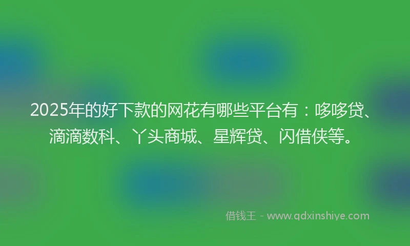 2025年的好下款的网花有哪些平台有：哆哆贷、滴滴数科、丫头商城、星辉贷、闪借侠等。