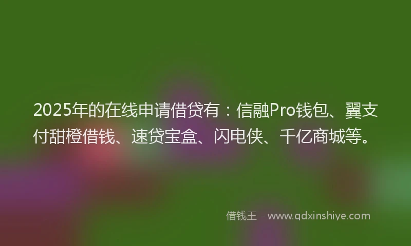 2025年的在线申请借贷有：信融Pro钱包、翼支付甜橙借钱、速贷宝盒、闪电侠、千亿商城等。