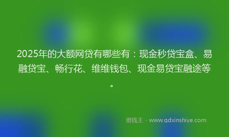 2025年的大额网贷有哪些有：现金秒贷宝盒、易融贷宝、畅行花、维维钱包、现金易贷宝融途等。
