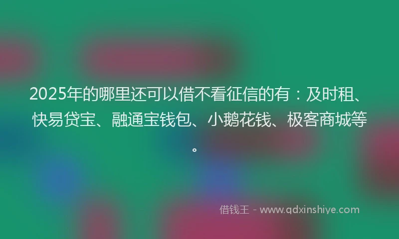 2025年的哪里还可以借不看征信的有：及时租、快易贷宝、融通宝钱包、小鹅花钱、极客商城等。