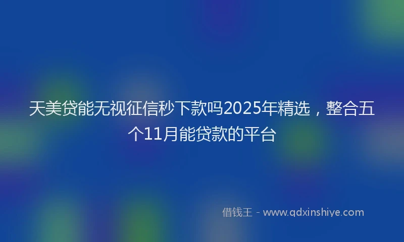 天美贷能无视征信秒下款吗2025年精选，整合五个11月能贷款的平台