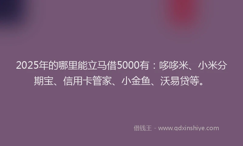 2025年的哪里能立马借5000有：哆哆米、小米分期宝、信用卡管家、小金鱼、沃易贷等。