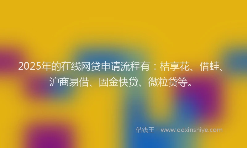 2025年的在线网贷申请流程有：桔享花、借蛙、沪商易借、固金快贷、微粒贷等。
