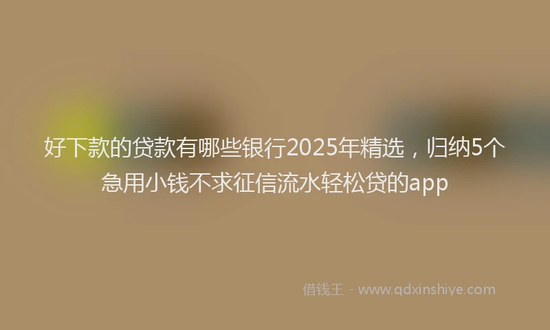 好下款的贷款有哪些银行2025年精选，归纳5个急用小钱不求征信流水轻松贷的app