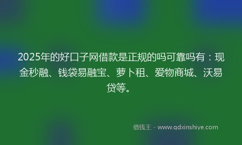 2025年的好口子网借款是正规的吗可靠吗有：现金秒融、钱袋易融宝、萝卜租、爱物商城、沃易贷等。