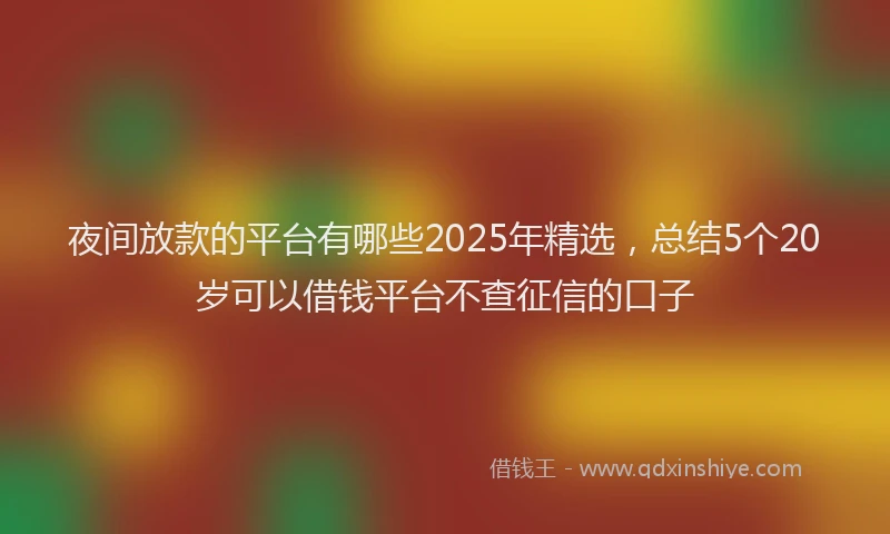 夜间放款的平台有哪些2025年精选，总结5个20岁可以借钱平台不查征信的口子