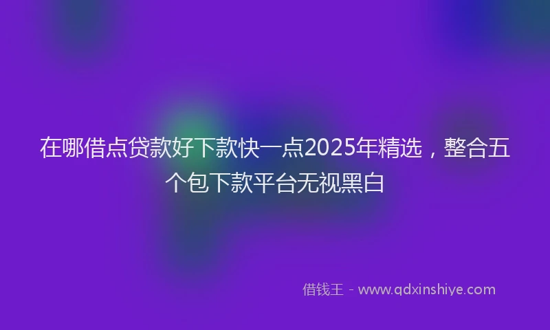 在哪借点贷款好下款快一点2025年精选，整合五个包下款平台无视黑白