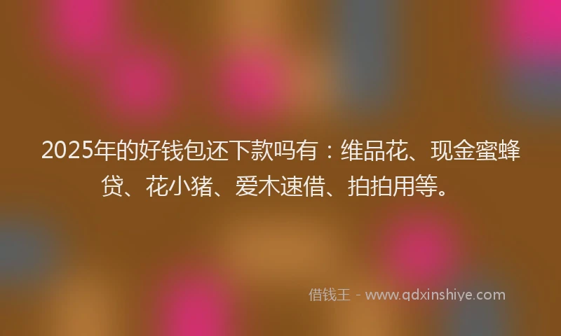 2025年的好钱包还下款吗有：维品花、现金蜜蜂贷、花小猪、爱木速借、拍拍用等。