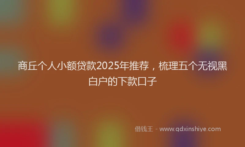 商丘个人小额贷款2025年推荐，梳理五个无视黑白户的下款口子