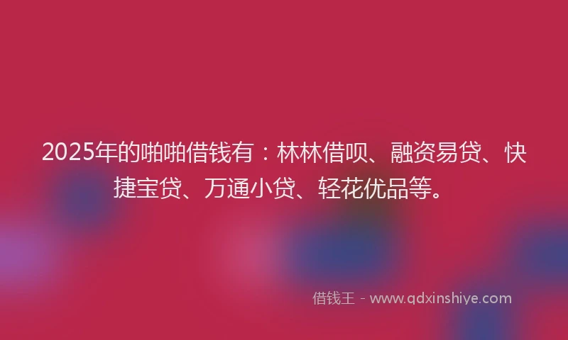 2025年的啪啪借钱有：林林借呗、融资易贷、快捷宝贷、万通小贷、轻花优品等。