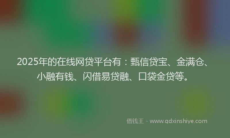2025年的在线网贷平台有：甄信贷宝、金满仓、小融有钱、闪借易贷融、口袋金贷等。