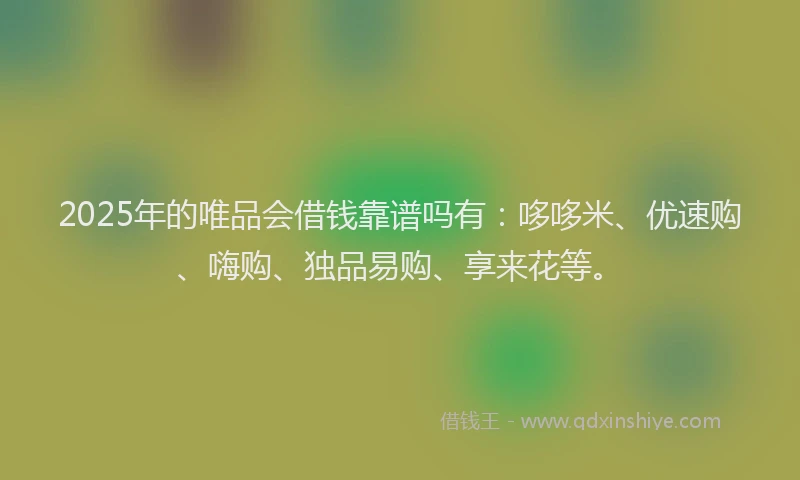2025年的唯品会借钱靠谱吗有：哆哆米、优速购、嗨购、独品易购、享来花等。
