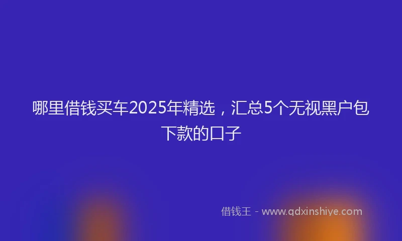 哪里借钱买车2025年精选，汇总5个无视黑户包下款的口子