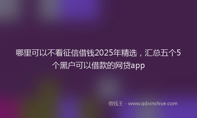 哪里可以不看征信借钱2025年精选，汇总五个5个黑户可以借款的网贷app