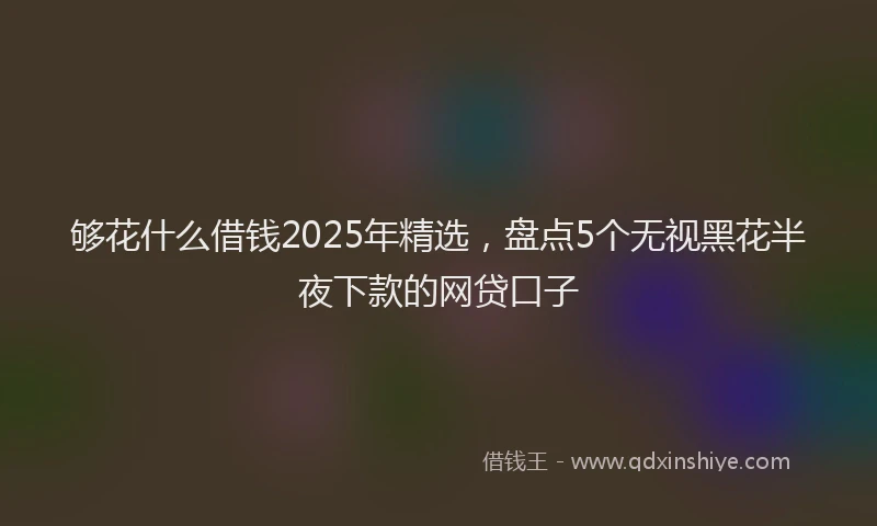 够花什么借钱2025年精选，盘点5个无视黑花半夜下款的网贷口子