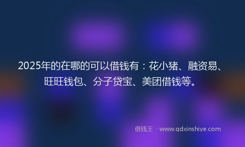 2025年的在哪的可以借钱有：花小猪、融资易、旺旺钱包、分子贷宝、美团借钱等。