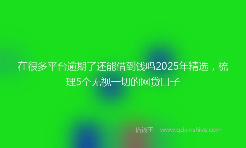 在很多平台逾期了还能借到钱吗2025年精选，梳理5个无视一切的网贷口子